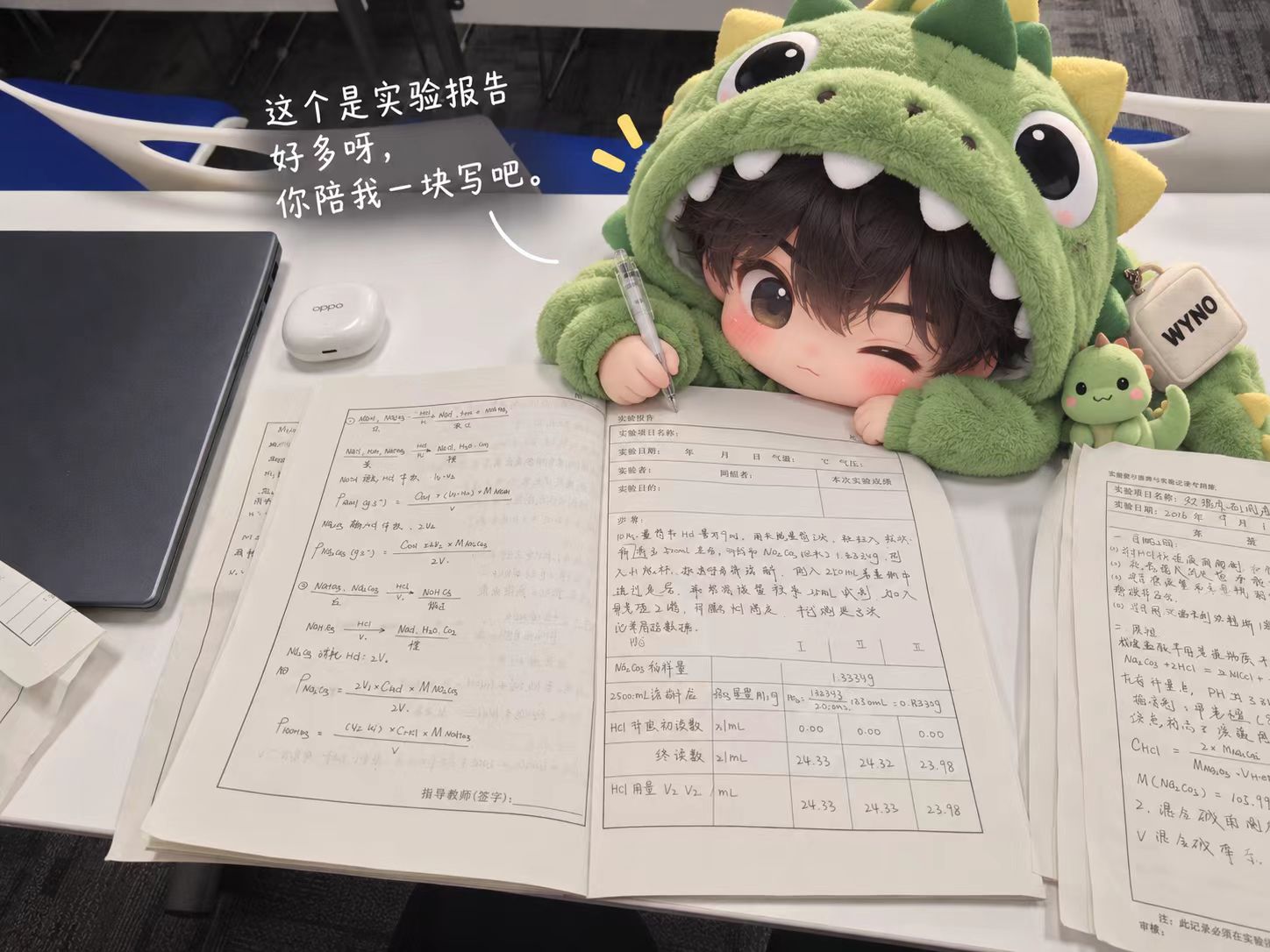 WYNO 陪着完成化学实验记录